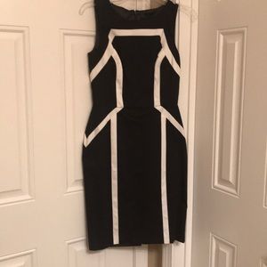 WHBM fitted dress.